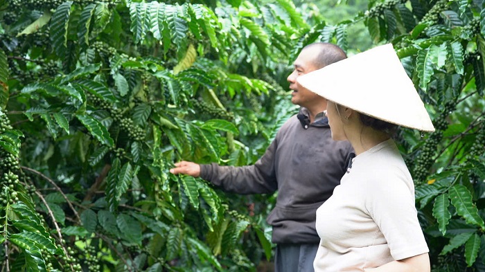 Vùng trồng của Seed Coffee