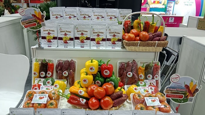 Ớt chuông, Cà chua Beef Viên Sơn cũng sắp lên kệ Kingfood Mart