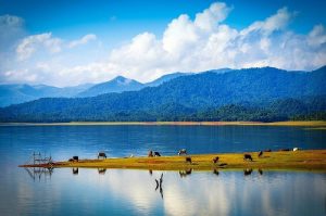 Hồ Núi Một làng Canh Tiến