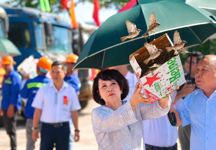 An Việt Phát