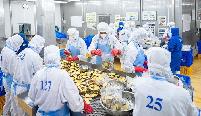 Công ty Cổ phần Viên Sơn